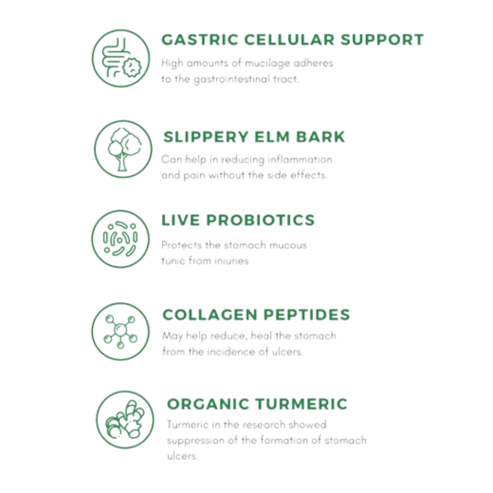 Ulcer Protect Supplement for Horses