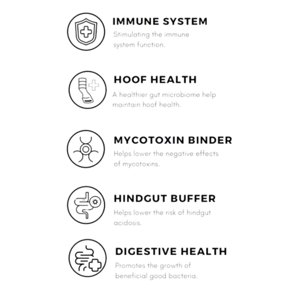 Xtrabalance Digestive Supplement for Horses