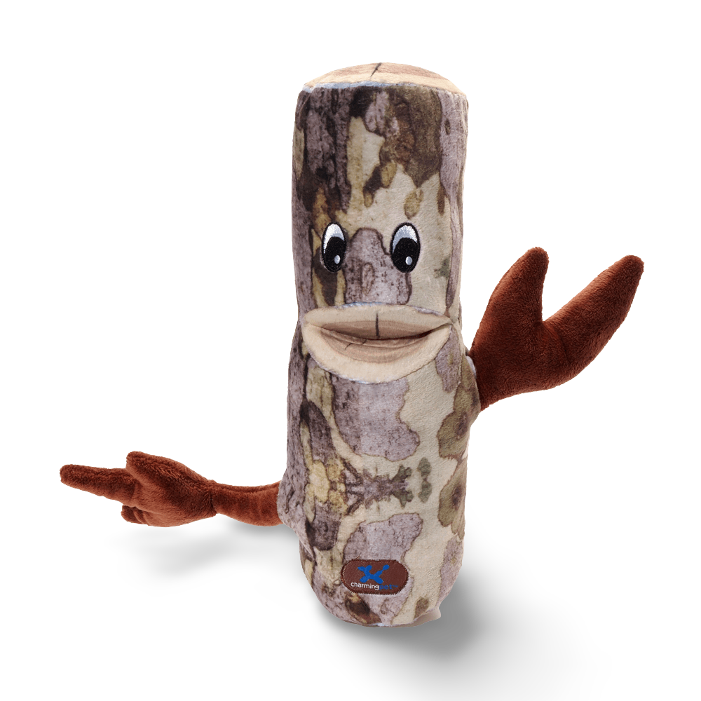 Barkers Sycamore