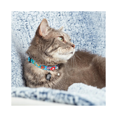 Max & Molly Smart ID Cat Collar
