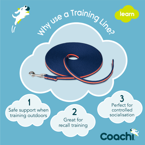 Recall Dog Lead Line Trainer Navy Lime