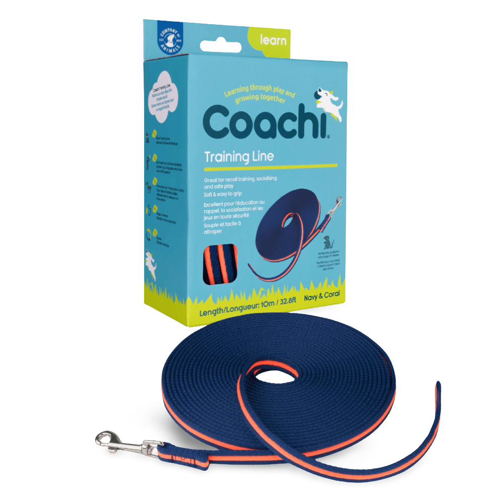 Recall Dog Lead Line Trainer Navy Lime