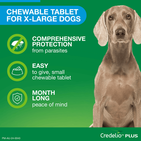 Blue All-in-One Chews for Extra Large Dogs