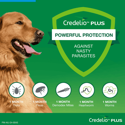 Blue All-in-One Chews for Extra Large Dogs