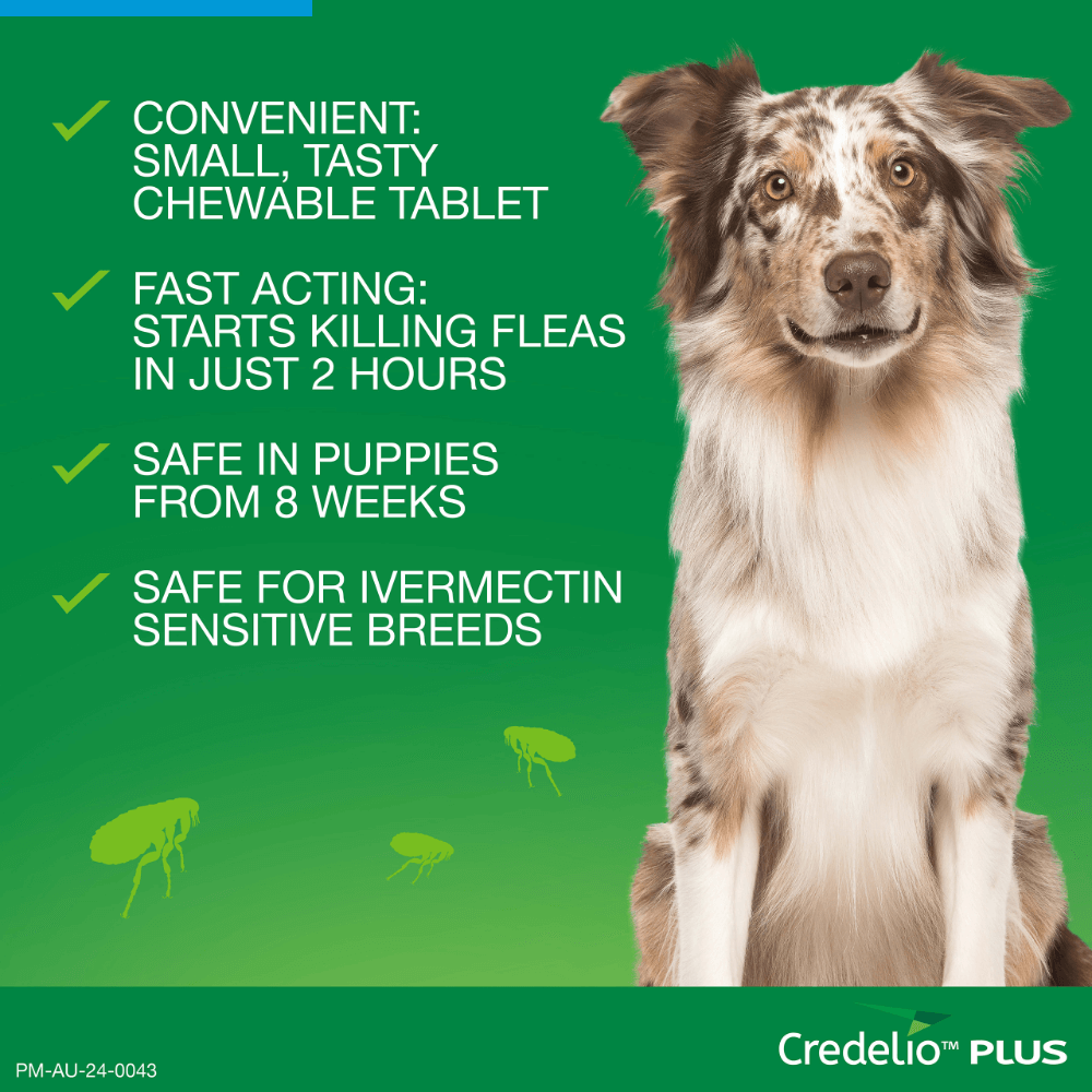 Blue All-in-One Chews for Extra Large Dogs