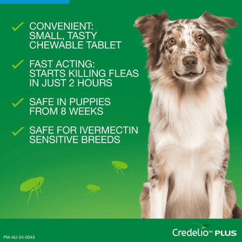 Blue All-in-One Chews for Extra Large Dogs