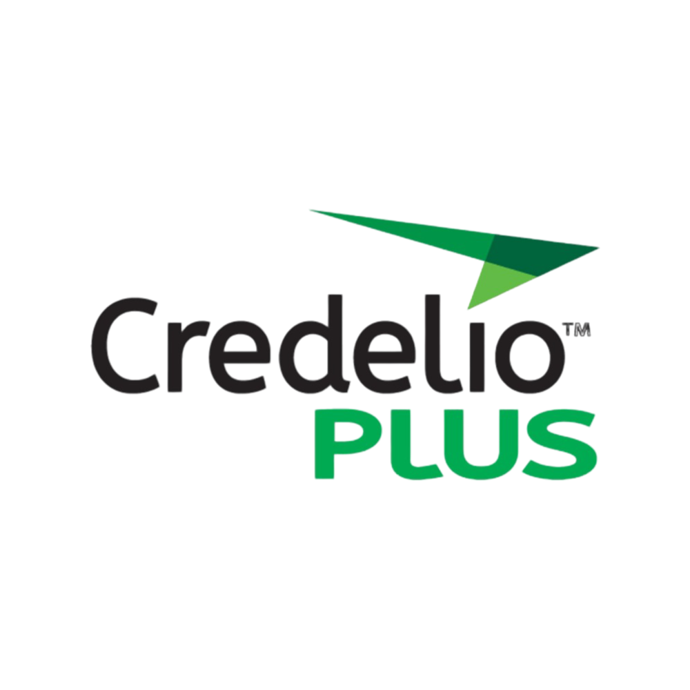 Green All-in-One Chews for Large Dogs