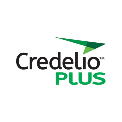 Green All-in-One Chews for Large Dogs