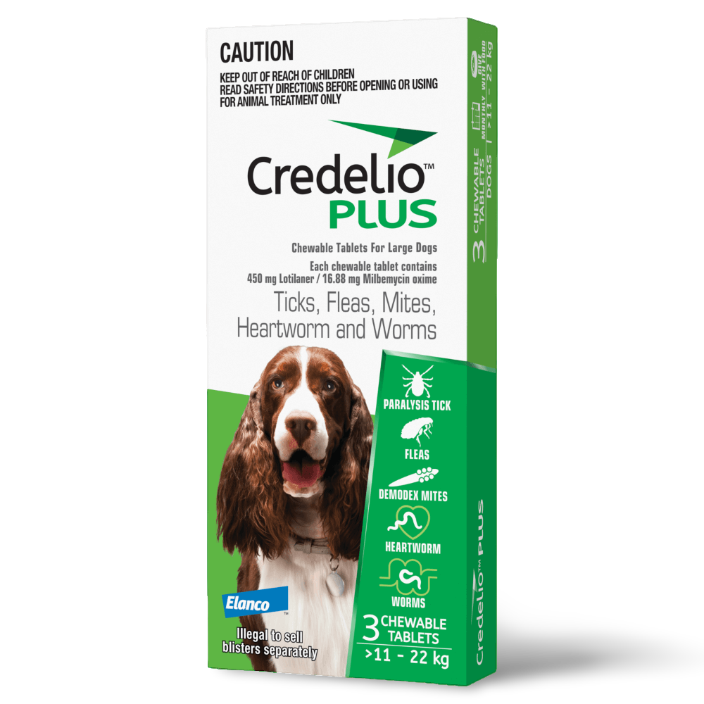 Green All-in-One Chews for Large Dogs