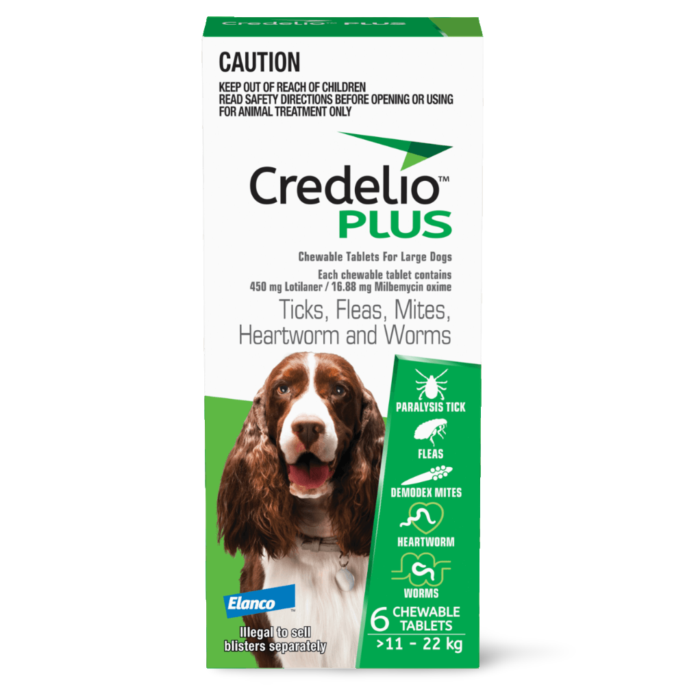 Green All-in-One Chews for Large Dogs