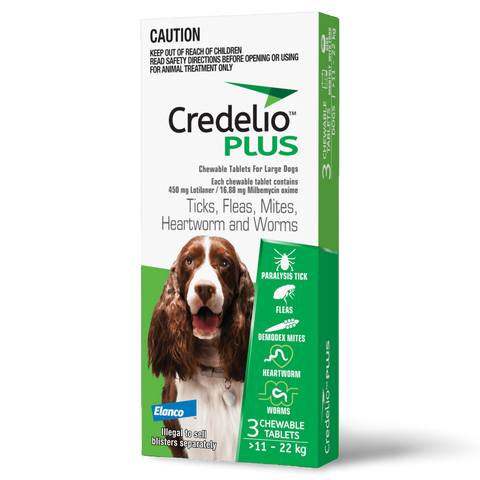 Green All-in-One Chews for Large Dogs