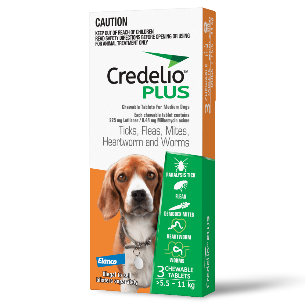 Orange All-in-One Chews for Medium Dogs