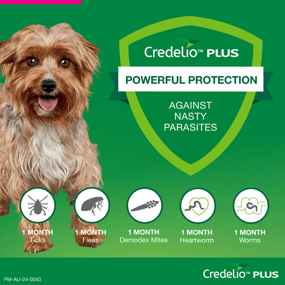 Pink All-in-One Chews for Small Dogs