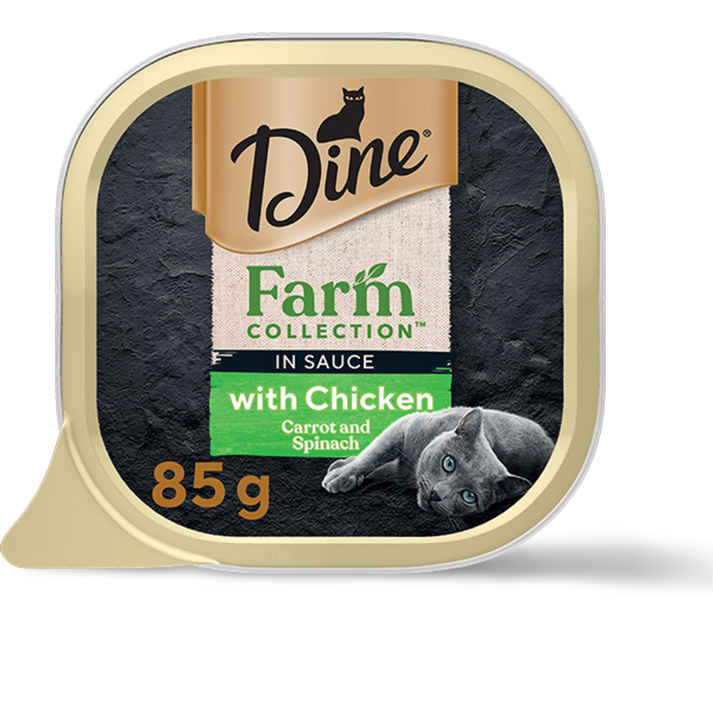 Farm Collection Chicken Carrot Wet Cat Food Trays