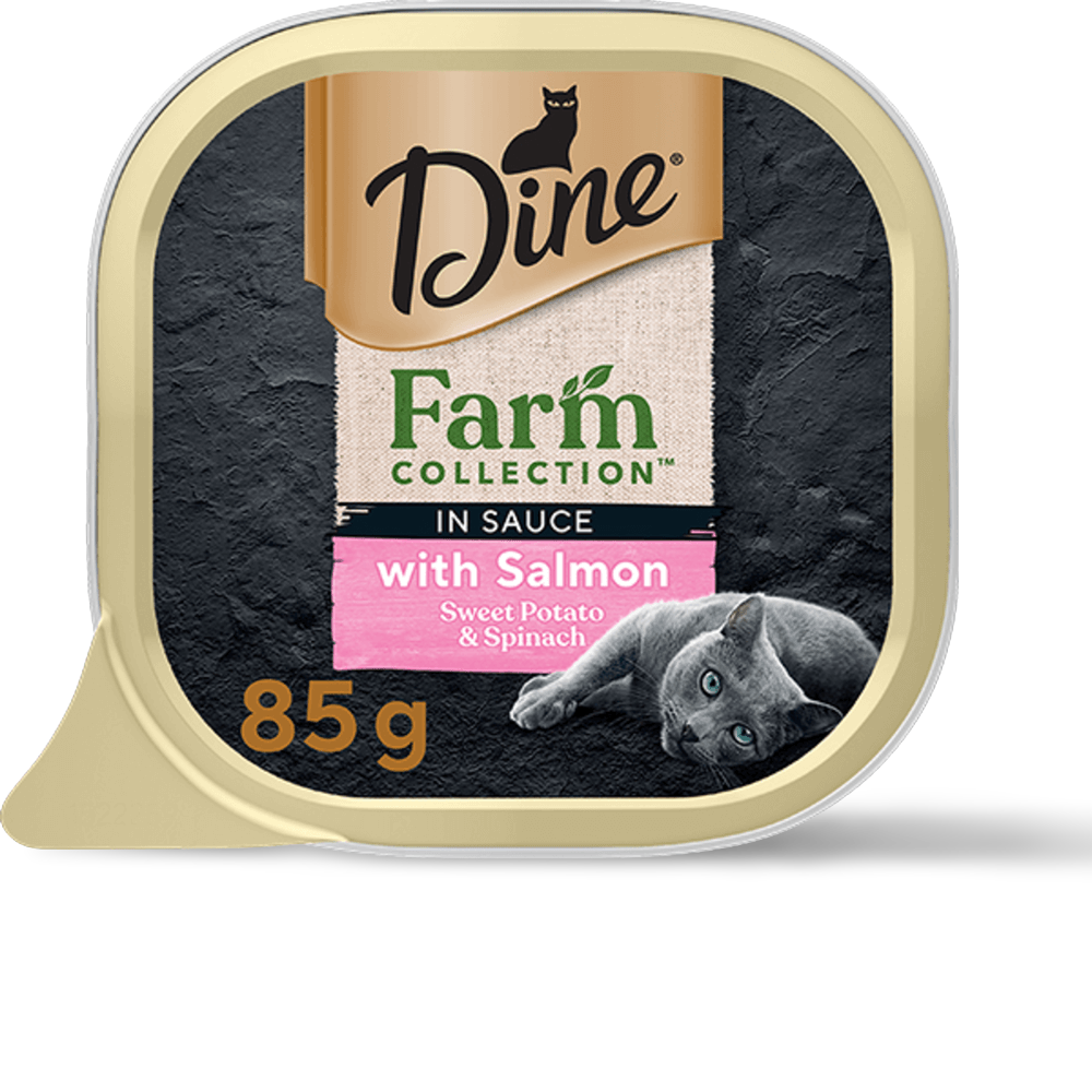 Farm Collection Salmon Sweet Potato Wet Cat Food Trays