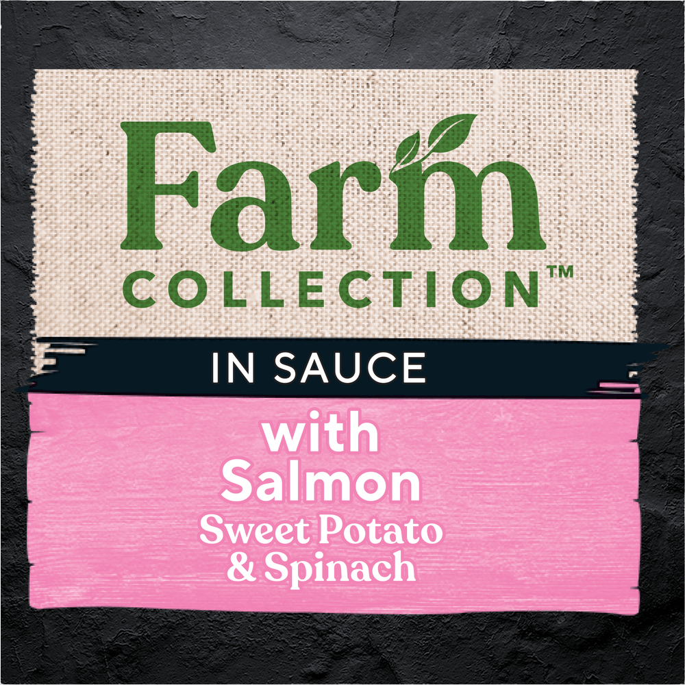 Farm Collection Salmon Sweet Potato Wet Cat Food Trays