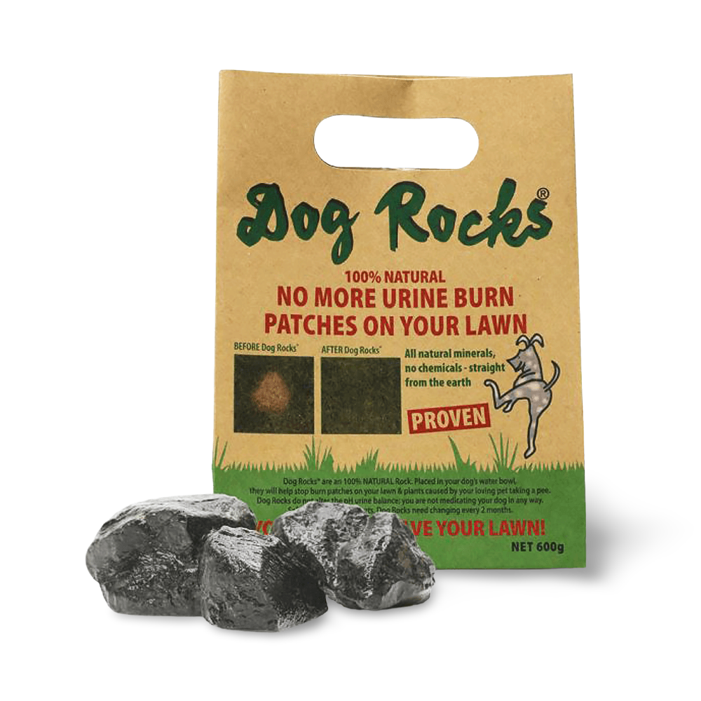 Dog Rocks