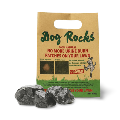 Dog Rocks