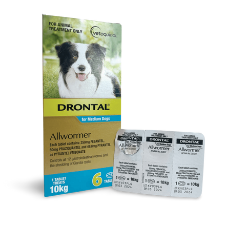 Dog Allwormer Tablet 10kg