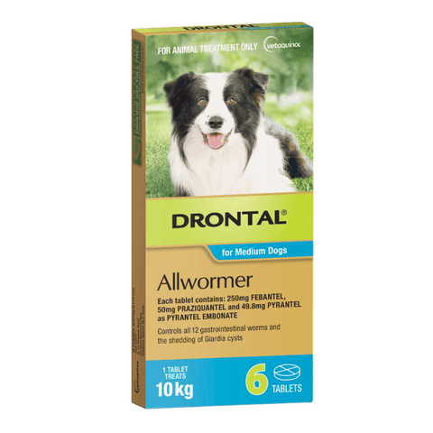 Dog Allwormer Tablet 10kg