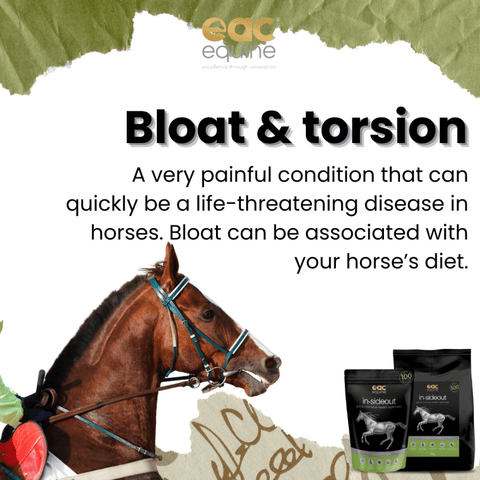 Inside Out Pre And Probiotic Nutraceutical And Gut Health Supplement For Horse And Ponies