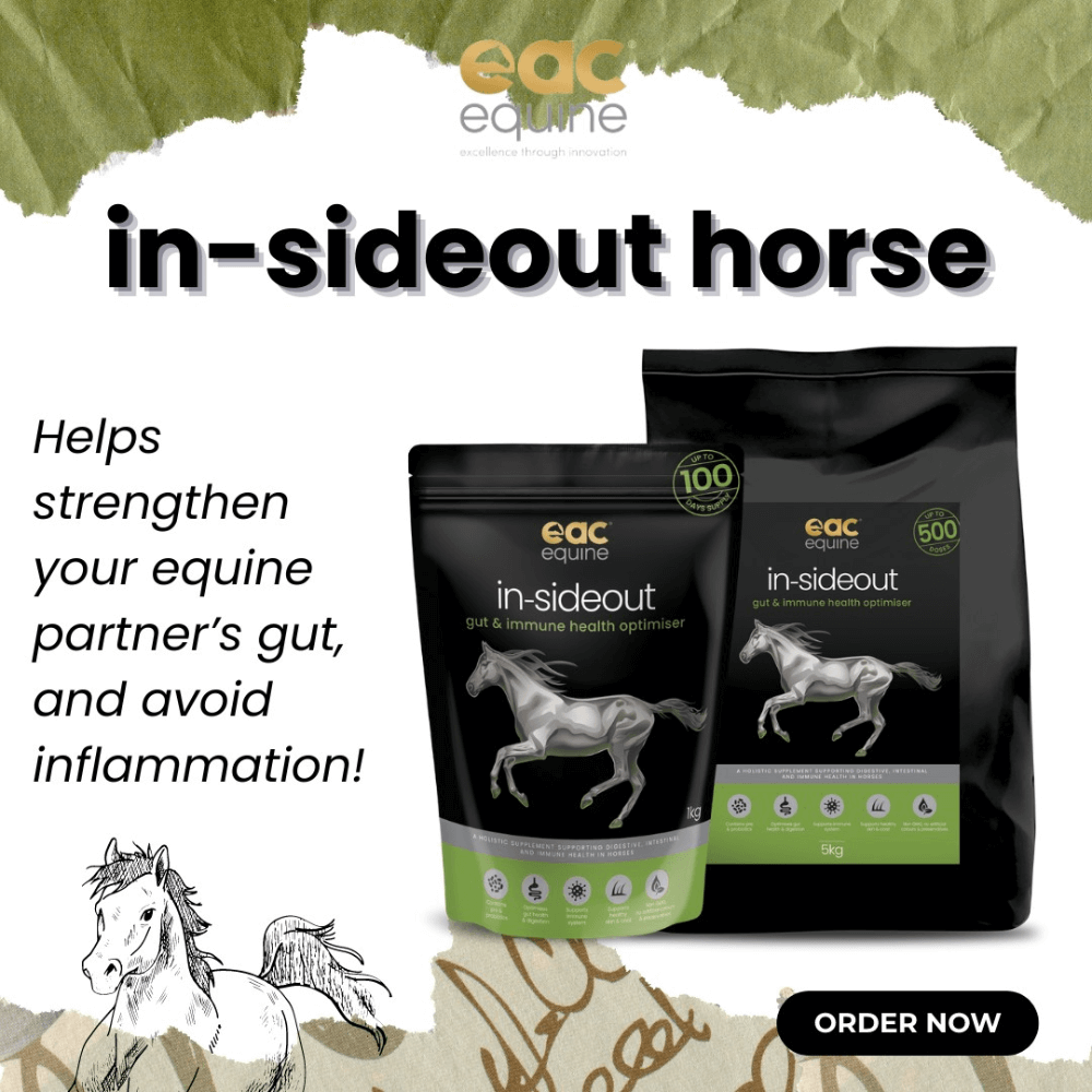 Inside Out Pre And Probiotic Nutraceutical And Gut Health Supplement For Horse And Ponies