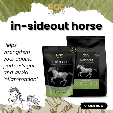 Inside Out Pre And Probiotic Nutraceutical And Gut Health Supplement For Horse And Ponies