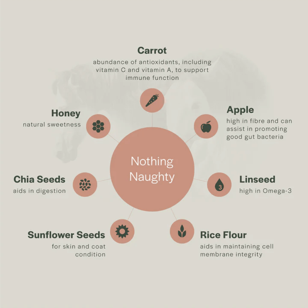 Curahorse All Natural Nothing Naughty Horse Treats