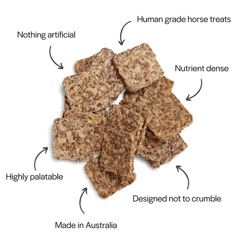 Curahorse All Natural Nothing Naughty Horse Treats