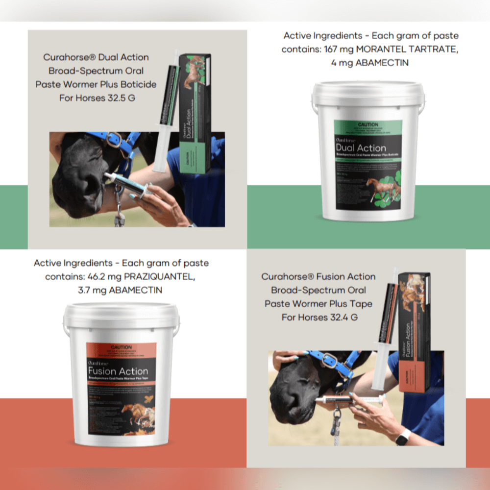 Curahorse Fusion Action Broad Spectrum Oral Paste Wormer