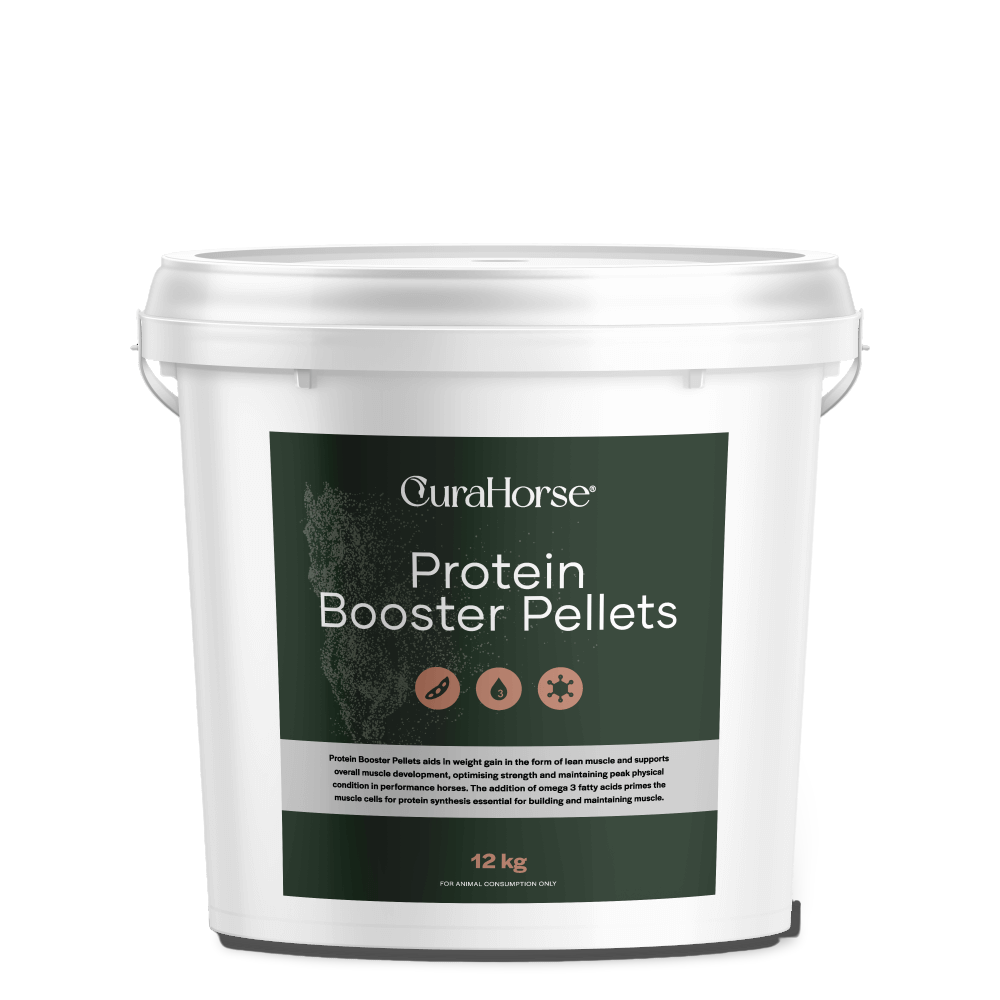 Curahorse Protein Booster Pellets For Horses