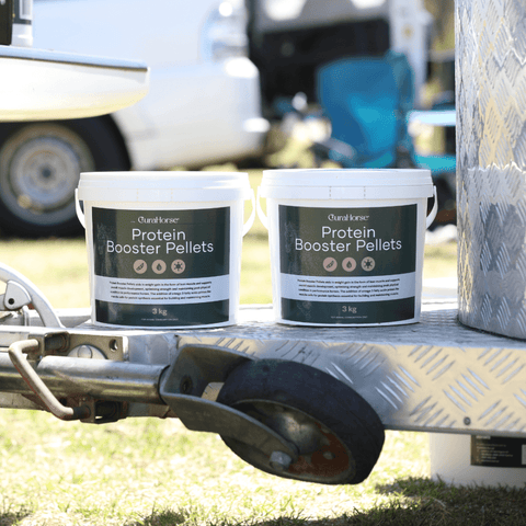 Curahorse Protein Booster Pellets For Horses