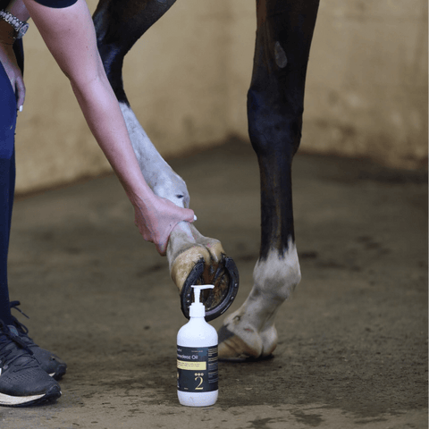 Curapet Remedeaz Coat Skin And Nail Oil For Horses And Dogs