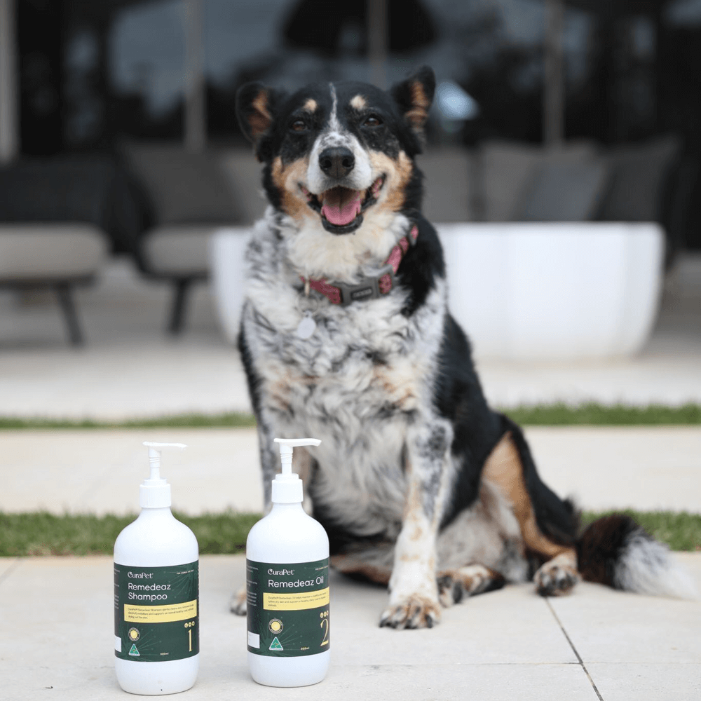 Curapet Remedeaz Coat Skin And Nail Oil For Horses And Dogs