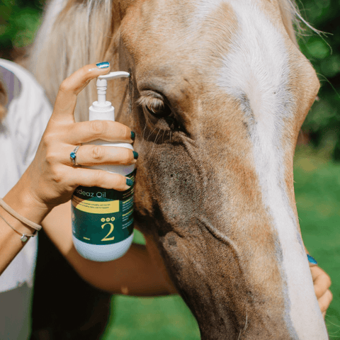 Curapet Remedeaz Coat Skin And Nail Oil For Horses And Dogs