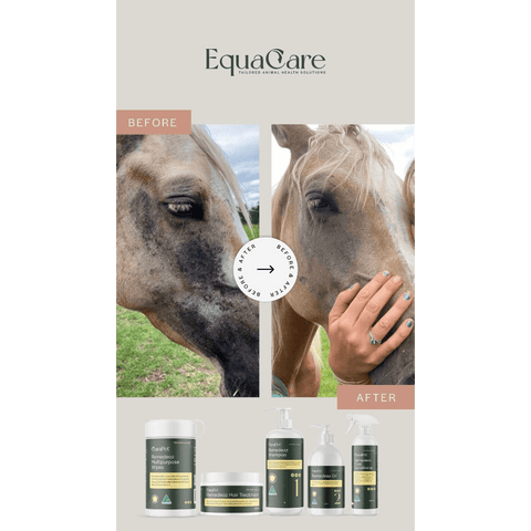 Curapet Remedeaz Coat Skin And Nail Oil For Horses And Dogs