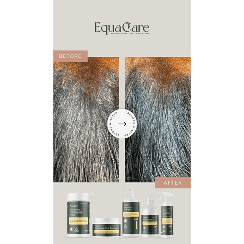 Curapet Remedeaz Coat Skin And Nail Oil For Horses And Dogs