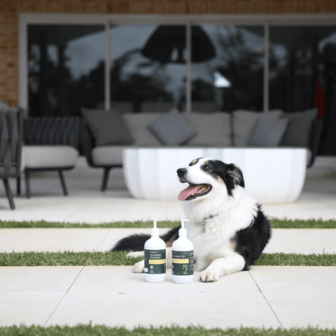 Curapet Remedeaz Coat Skin And Nail Oil For Horses And Dogs