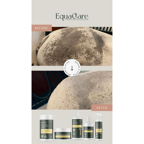 Curapet Remedeaz Hair And Coat Treatment For Dogs And Horses