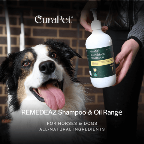 Curapet Remedeaz Shampoo For Horses And Dogs