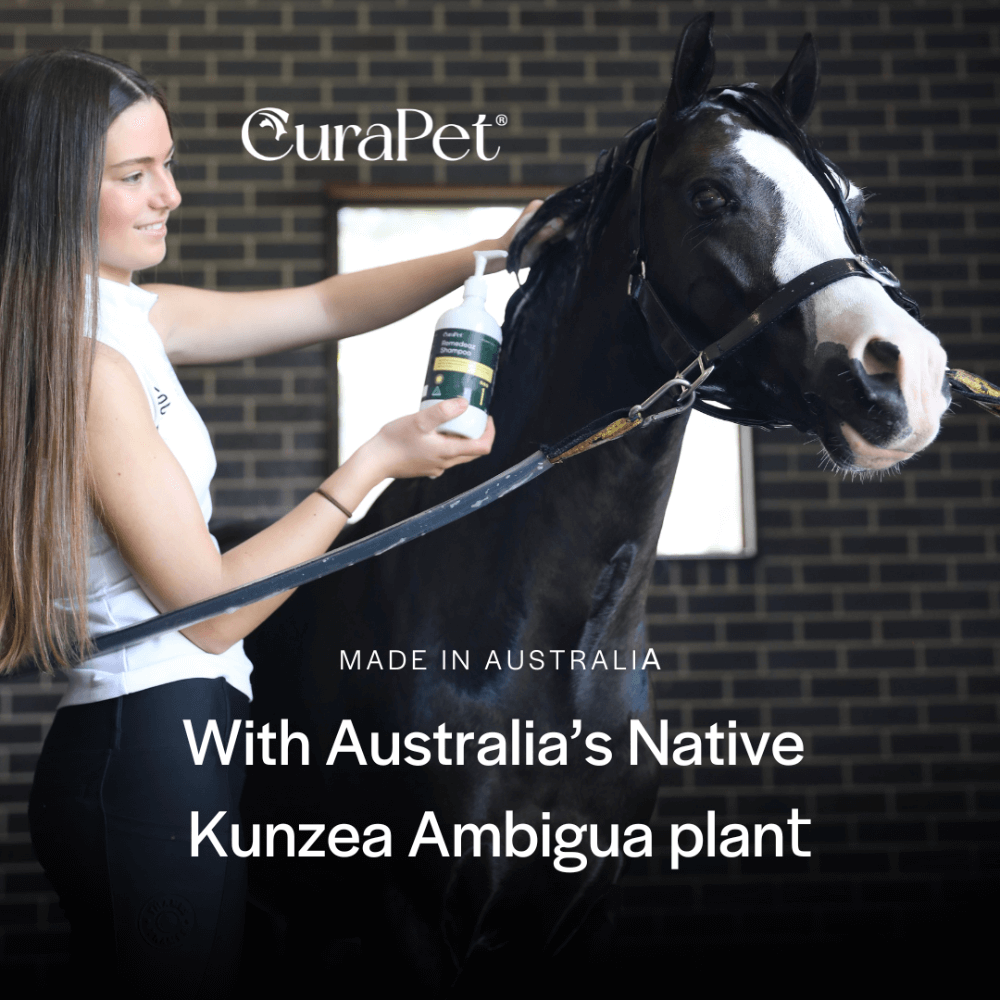 Curapet Remedeaz Shampoo For Horses And Dogs