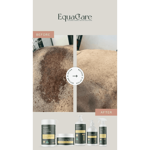 Curapet Remedeaz Shampoo For Horses And Dogs