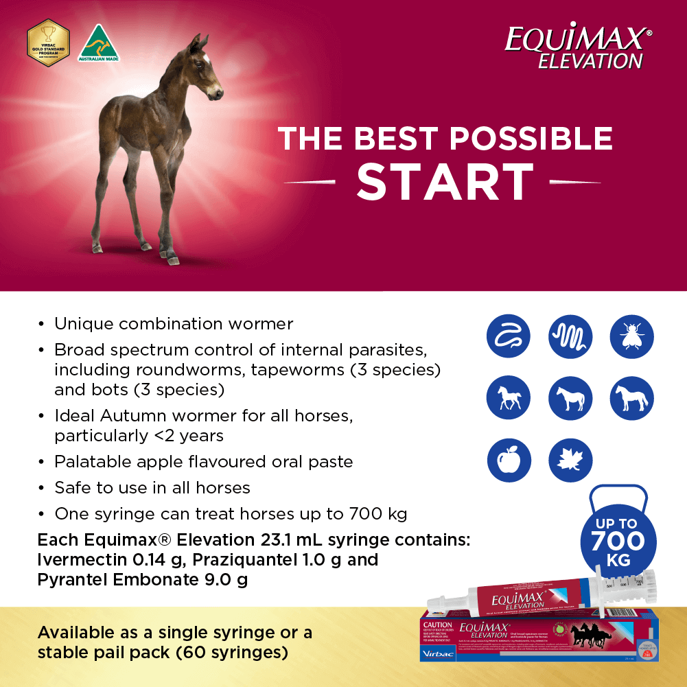 Equimax Elevation Wormer Paste