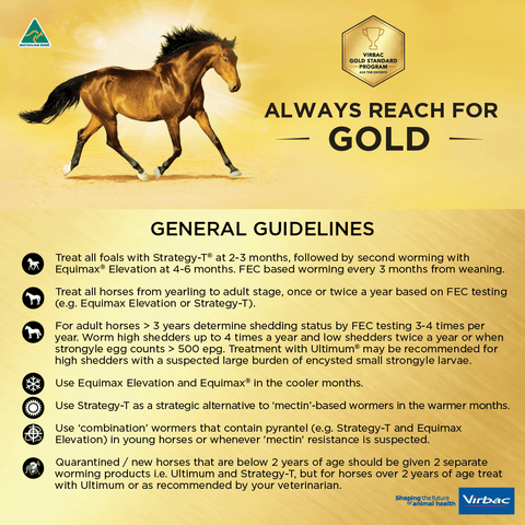 Equimax Elevation Wormer Paste