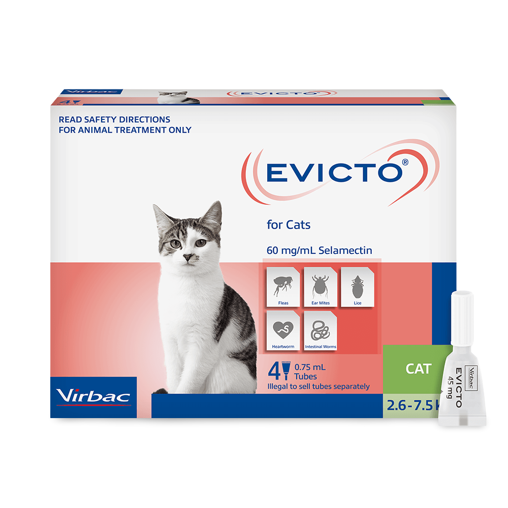 Flea & Worm Spot-On For Cats