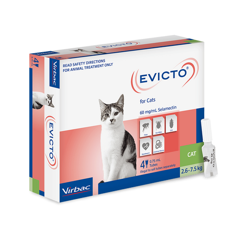 Flea & Worm Spot-On For Cats