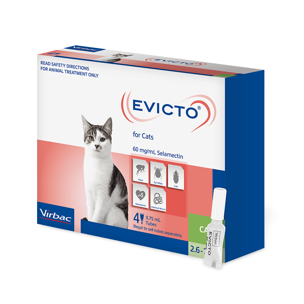 Flea & Worm Spot-On For Cats