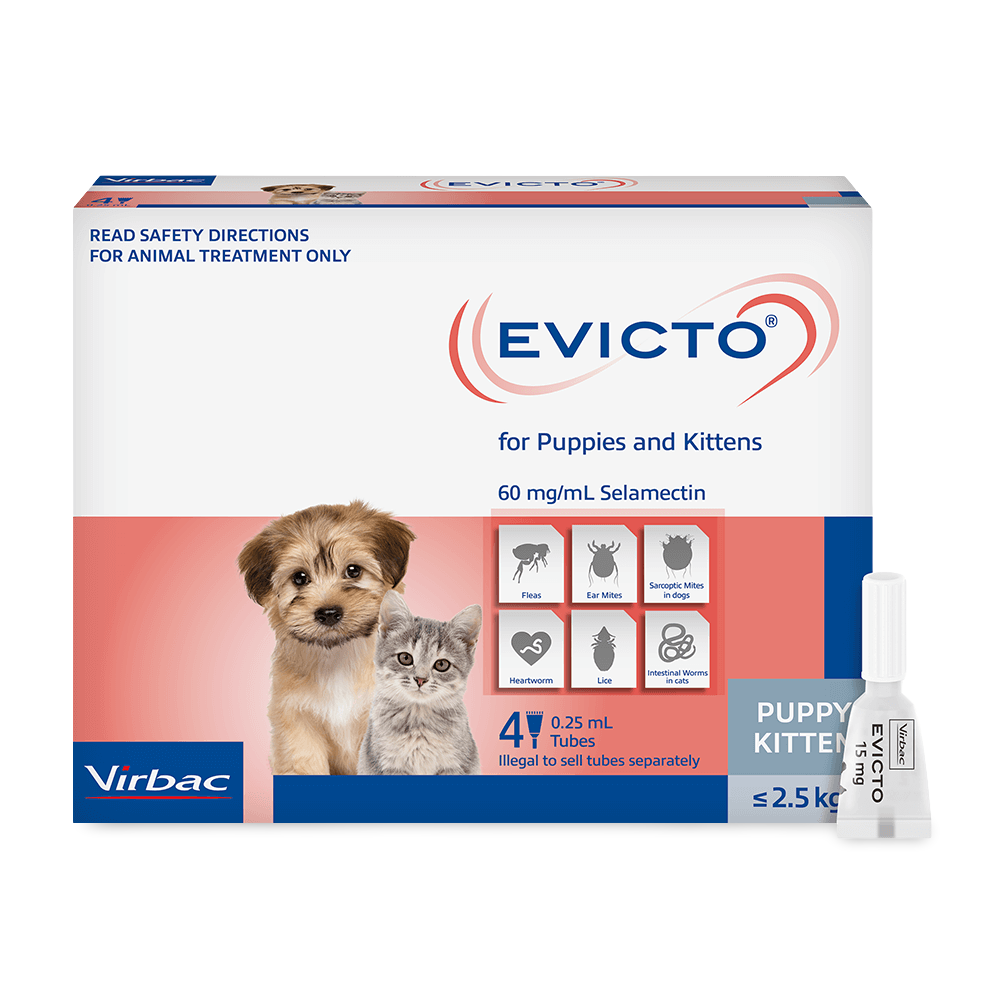 Flea & Worm Spot-On For Puppies And Kittens