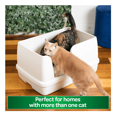 Extra Wide Dual Layer Cat Litter System