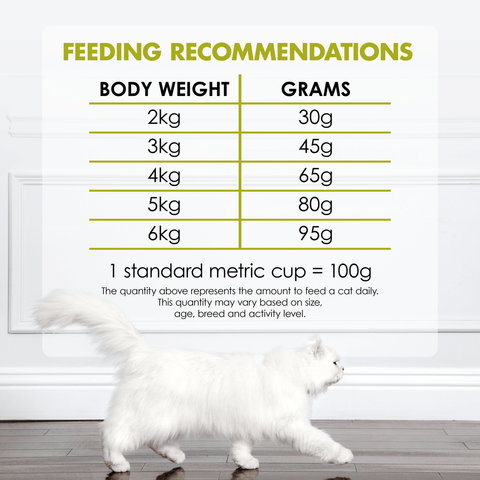 Adult Chicken Turkey And Vegetable Flavour Dry Cat Food